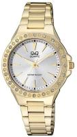 Наручные часы Q&Q Q987J001Y
