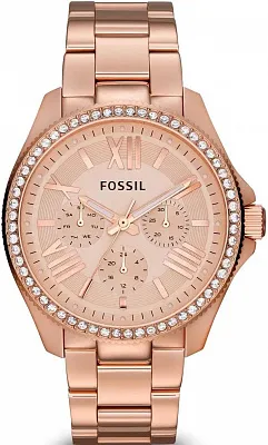 Наручные часы Fossil AM4483