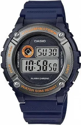Casio Collection W-216H-2B