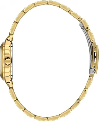 Наручные часы  Daniel Klein  Premium Daniel Klein 13912-4 (фото 2)