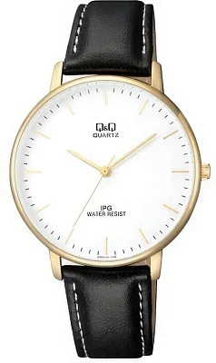 Q&Q Casual QZ00J101Y