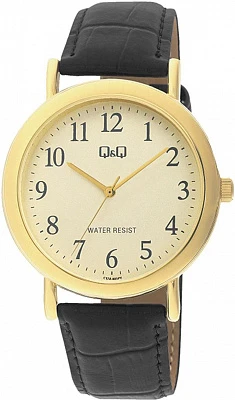 Q&Q Casual C17AJ005Y