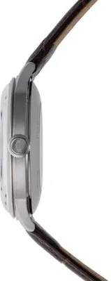 Наручные часы  Orient  Automatic Orient RA-AP0002S (фото 3)