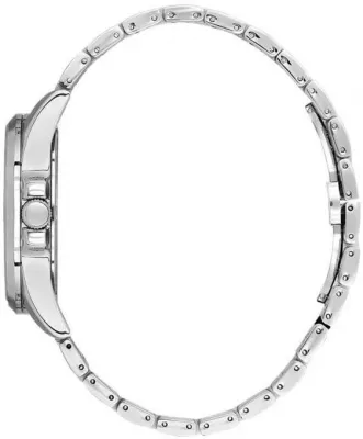 Наручные часы  Daniel Klein  Premium Daniel Klein 14035-4 (фото 2)