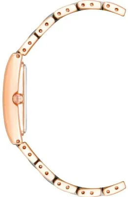 Наручные часы  Anne Klein  Plastic Anne Klein 3998NVRG (фото 2)