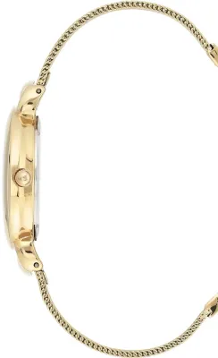 Наручные часы  Anne Klein  Steel Anne Klein 3806SVGB (фото 2)