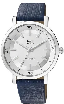 Q&Q Casual Q892J301Y