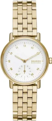 Наручные часы  Skagen  Aaren Skagen SKW3102 (фото 1)