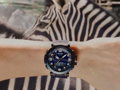 Наручные часы  Casio  ProTrek Casio PRG-601YB-2E (фото 6)