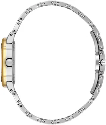 Наручные часы  Daniel Klein  Premium Daniel Klein 13955-4 (фото 2)