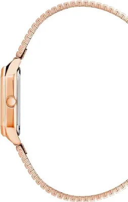 Наручные часы  Anne Klein  Steel Anne Klein 3980RGRG (фото 2)