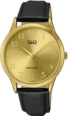 Q&Q Casual C10AJ022Y