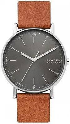 Наручные часы Skagen SKW6578