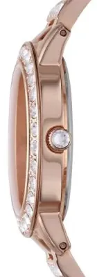 Наручные часы  Fossil  Casual Fossil ES3020 (фото 2)