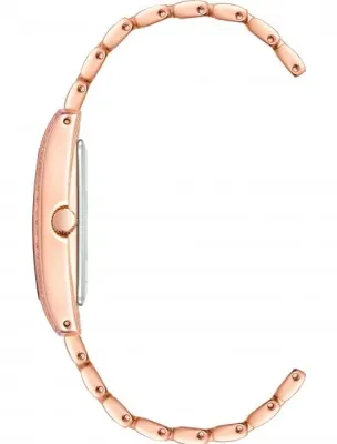 Наручные часы  Anne Klein  Steel Anne Klein 3990RGST (фото 2)