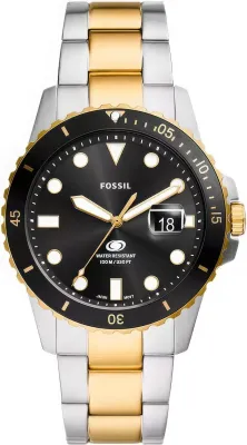 Наручные часы  Fossil  Blue Fossil FS6031 (фото 1)