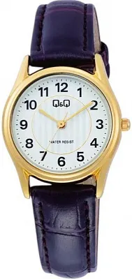 Q&Q C49AJ003Y