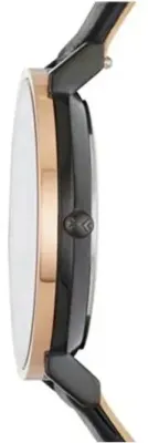 Наручные часы  Skagen  Leather Women Skagen SKW2490 (фото 2)