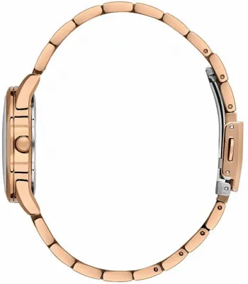 Наручные часы  Daniel Klein  Arcadia Daniel Klein 14049-4 (фото 2)