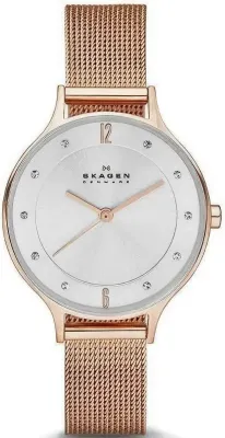 Наручные часы  Skagen  Steel Skagen SKW2151 (фото 1)