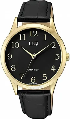 Q&Q C10AJ021Y