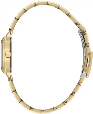 Наручные часы  Daniel Klein  Premium Daniel Klein 14090-4 (фото 2)