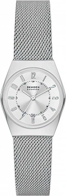Наручные часы Skagen SKW3038