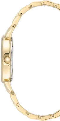 Наручные часы  Anne Klein  Steel Anne Klein 3692MPGB (фото 2)