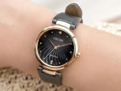 Наручные часы  Citizen  Eco Drive Citizen EM0853-14H (фото 2)