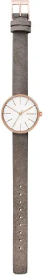 Наручные часы  Skagen  Leather Skagen SKW2644 (фото 2)
