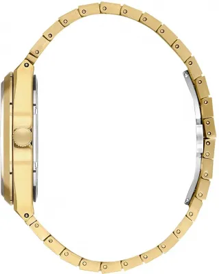 Наручные часы  Daniel Klein  Premium Daniel Klein 14061-5 (фото 2)