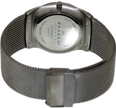 Наручные часы  Skagen  Titanium Skagen SKW6007 (фото 3)