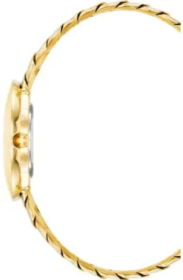 Наручные часы  Anne Klein  Steel Anne Klein 4100MPGB (фото 2)