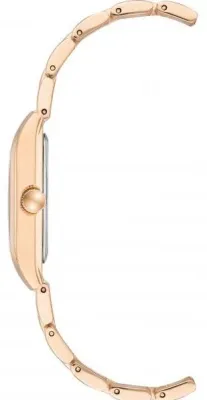 Наручные часы  Anne Klein  Steel Anne Klein 3954NVRG (фото 2)