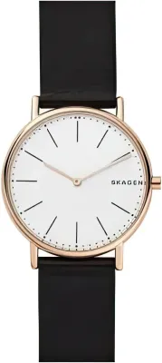 Наручные часы  Skagen  Leather Skagen SKW6430 (фото 1)