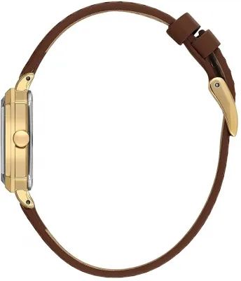 Наручные часы  Daniel Klein  Premium Daniel Klein 13939-3 (фото 2)