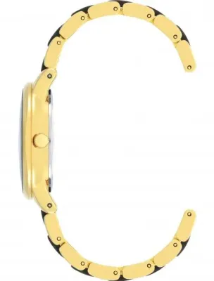 Наручные часы  Anne Klein  Plastic Anne Klein 3878GMGY (фото 2)