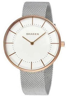 Skagen Steel Women SKW2583