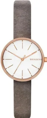 Наручные часы  Skagen  Leather Skagen SKW2644 (фото 1)