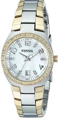 Fossil Dress AM4183