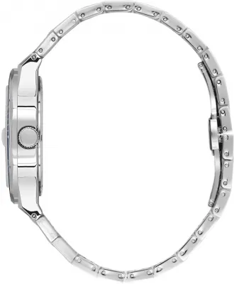 Наручные часы  Daniel Klein  Premium Daniel Klein 13989-4 (фото 2)