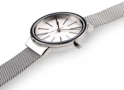 Наручные часы  Skagen  Steel Women Skagen SKW2478 (фото 2)