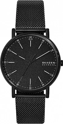 Наручные часы Skagen SKW6579