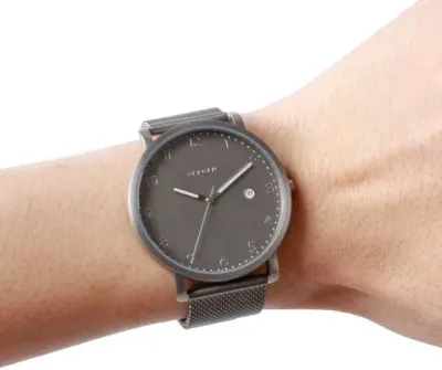 Наручные часы  Skagen  Steel Skagen SKW6307 (фото 3)