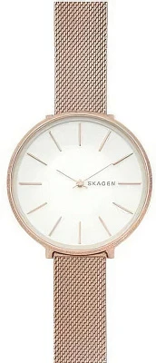 Skagen Steel Women SKW2726