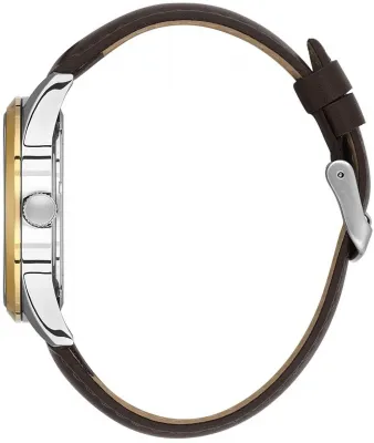 Наручные часы  Daniel Klein  Arcadia Daniel Klein 14086-4 (фото 2)