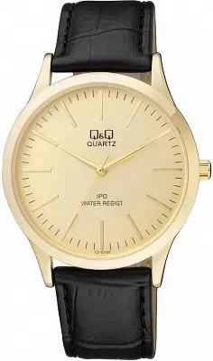 Q&Q Casual C212J100Y