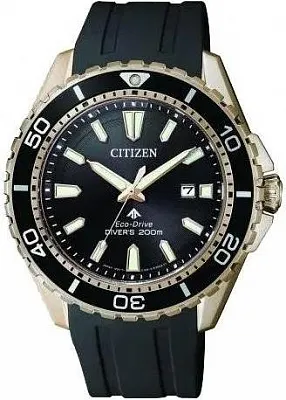 Citizen Eco Drive BN0193-17E