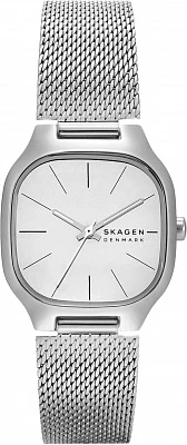Наручные часы Skagen SKW3163