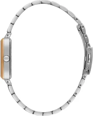 Наручные часы  Daniel Klein  Premium Daniel Klein 14055-6 (фото 2)